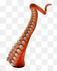 Download Sarlacc Tentacle Medium - Dnd Token Png