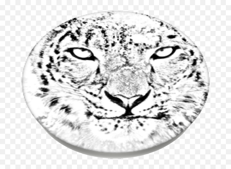 Snow Leopard Popsockets - Mac Os X Snow Leopard Png,Snow Leopard Png