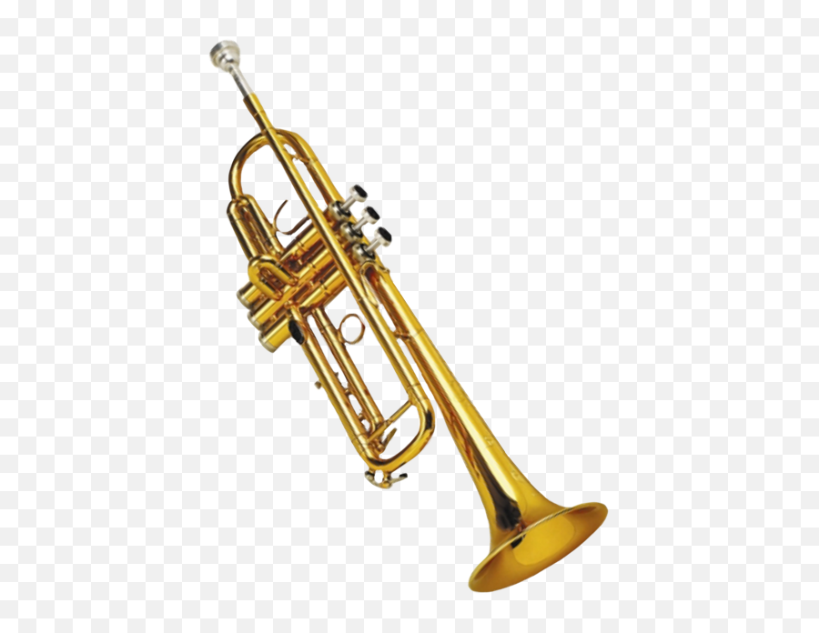 Download Tumblr Aesthetic Trend Idk Fiesta Moodboard - Types Of Trombone Png,Trumpet Transparent Background