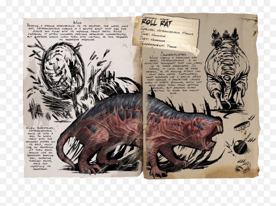 Roll Rat - Official Ark Survival Evolved Wiki Ark Aberration Roll Rat Png,Rat Png