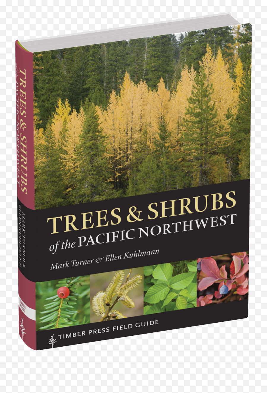 Trees And Shrubs Of The Pacific Northwest - Trees And Shrubs Of The Pacific Northwest Png,Shrubs Png