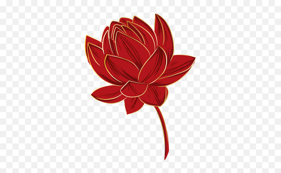 Chinese Lotus Flower - Transparent Png U0026 Svg Vector File Sacred Lotus,Lotus Transparent