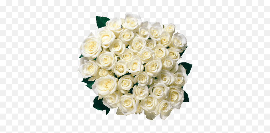 Bouquet Of White Roses Transparent Png - White Rose Bouquet Png,Rosas Png