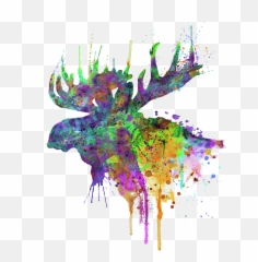 Moose Head Watercolor Silhouette Shower Curtain - Vector png