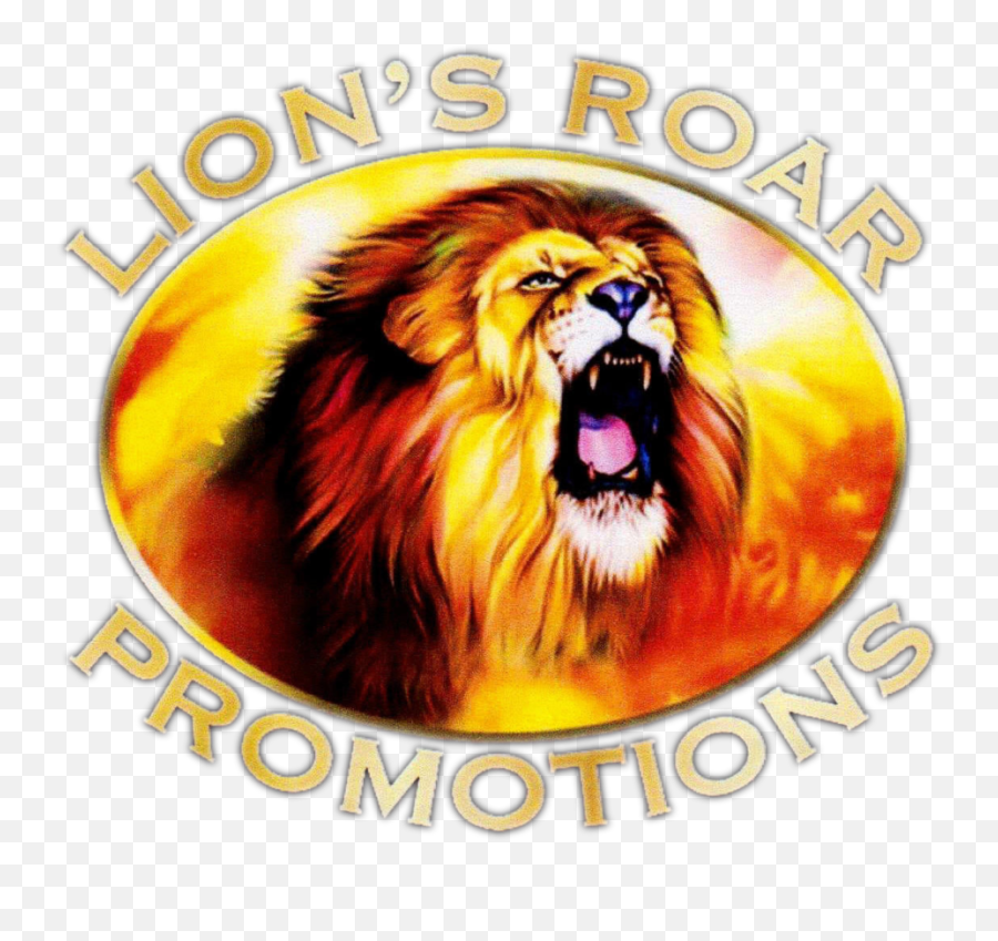 About U2014 Bronx Muay Thai U0026 Boxing Academy - Roaring Lion Png,Lion Roar Png