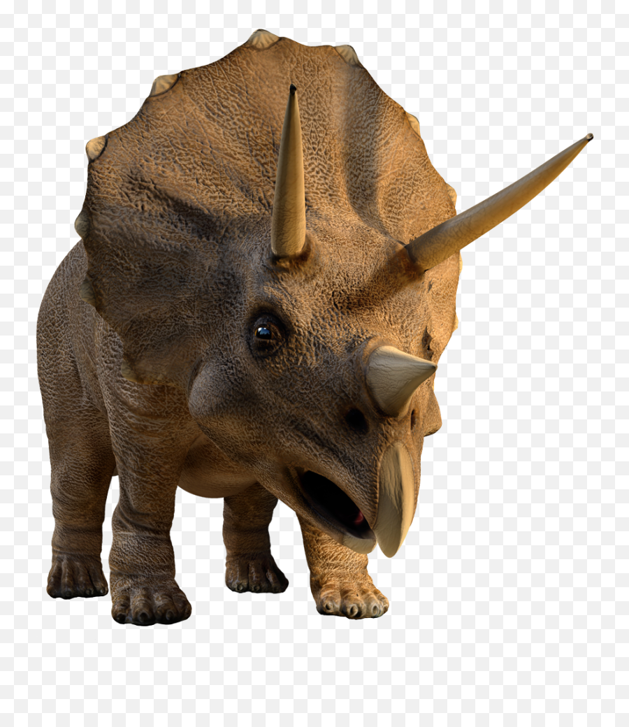 Full Size Png Image - Triceratops Wyoming,Triceratops Png