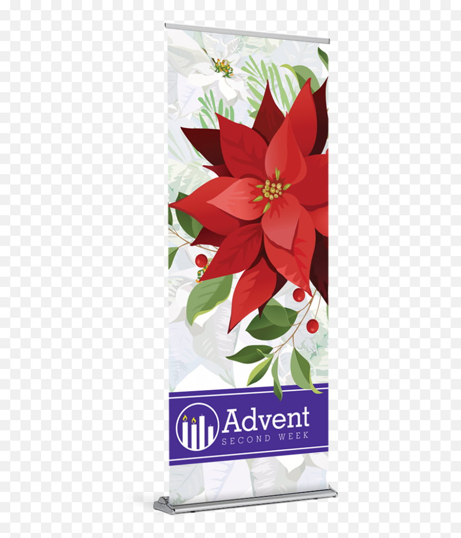 Tap To Expand Poinsettia - Clip Art Library Poinsettia Png,Poinsettia Transparent Background
