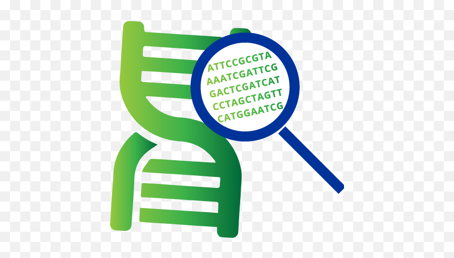 Medicinal Genomics - Solutions For Safe Quality Cannabis Genome Sequencing Icon Png,Laboratory Information System Icon For Results