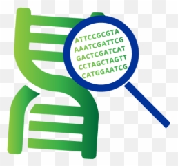 Medicinal Genomics - Solutions for Safe Quality Cannabis Genome Sequencing Icon png