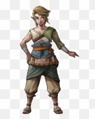 Download Warrior Of Weapon Zelda Gamecube Legend Link Hq Png - Legend Of Zelda Twilight Princess Link,Gamecube Png