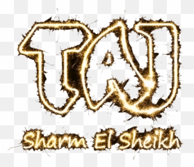 Taj Mahal Nightclub Sharm El - Sheikh Best Club in png