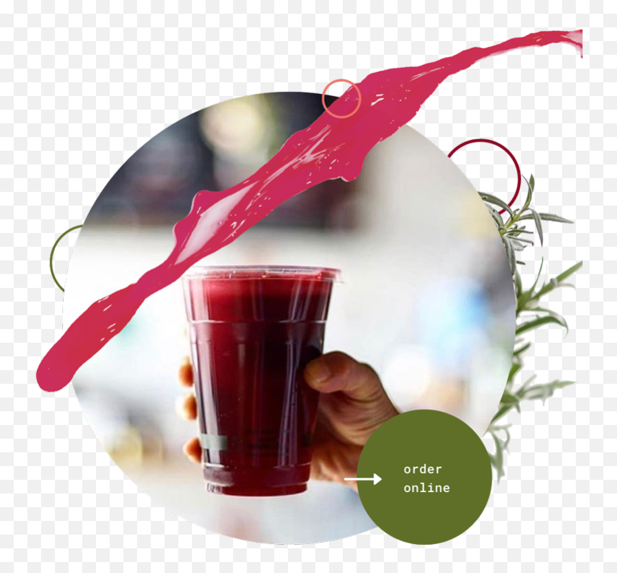 Sip Organic Juice Bar - Sip Organic Juice Bar Png,Cranberry Icon