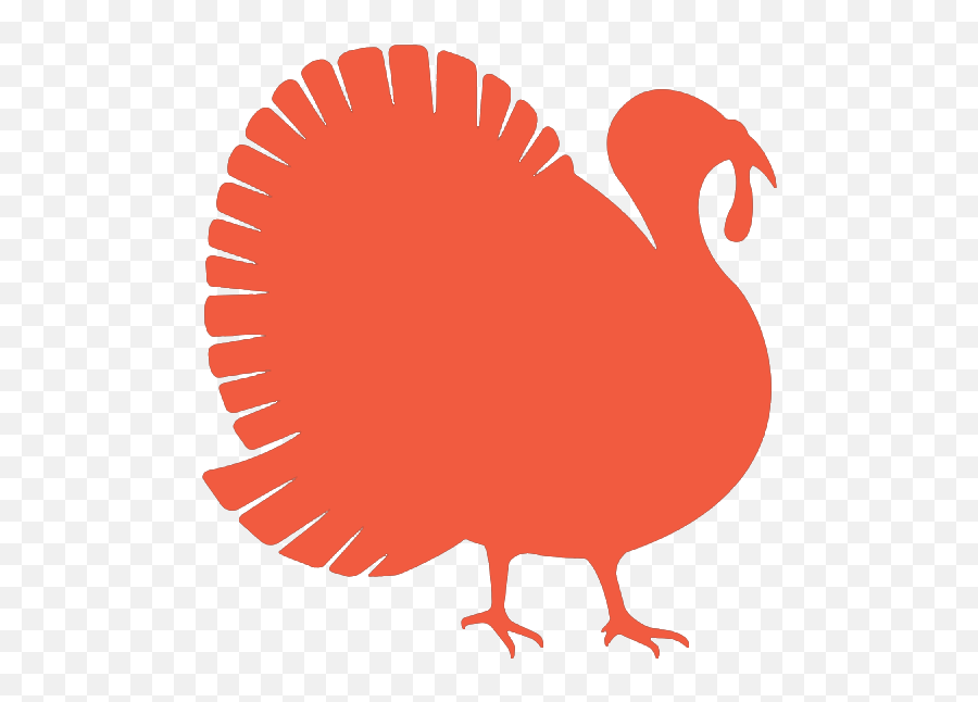 Turkey And Thirty - Foodshare Hunger Is Big Our Community Pan American The Airways Logo Png,Thanksgiving Turkey Icon