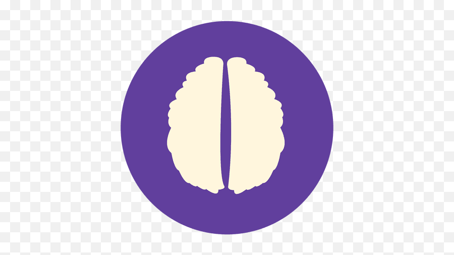 Flat Human Brain Sign - Transparent Png U0026 Svg Vector File Circle,Human Brain Png