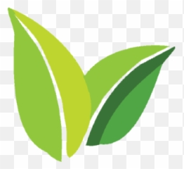 Pfefferle Lawns Landscape Living Care Lakeview - Vertical png