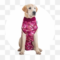 Recovery Suit Dog - Suitical png