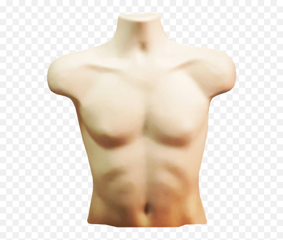 Torso Png 4 Image - Torso Png,Torso Png