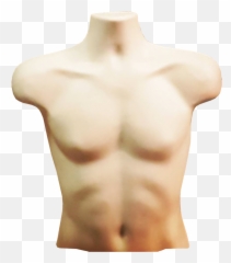 Torso Png 4 Image - Torso Png,Torso Png