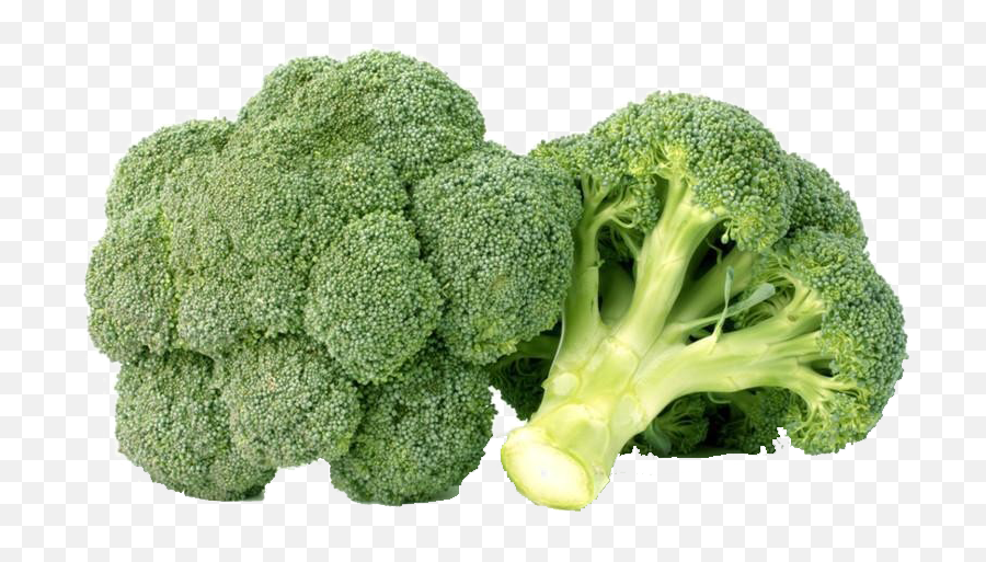Green Broccoli Png Free Background