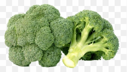 Green Broccoli Png Free Background