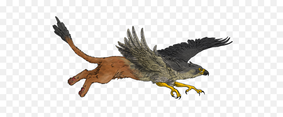 Griffin Png - Flying Griffin Transparent Background,Griffin Png