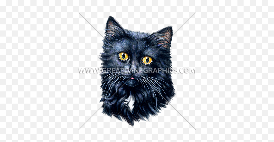 Black Cat Face Production Ready Artwork For T - Shirt Printing Black Cat Png,Black Cat Transparent
