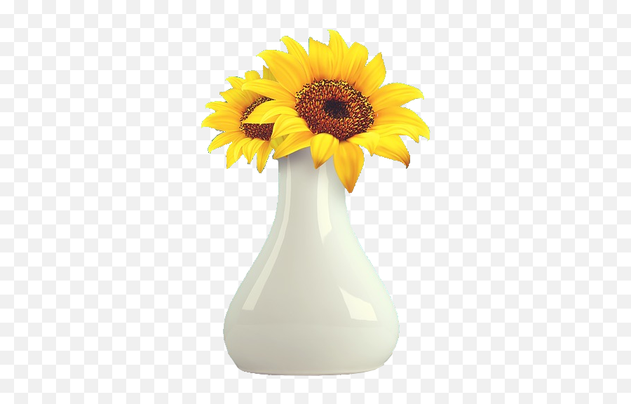 Image Matting Exercise The Collection U2014 Steemit - Sunflower Vase Png,Sun Flower Png