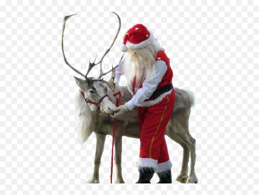 Download Hd The Best Christmas - Santa Claus Png,Santa And Reindeer Png