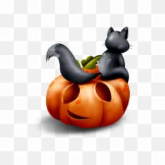 Jack O Lantern Pumpkin Png Image With Transparent Background