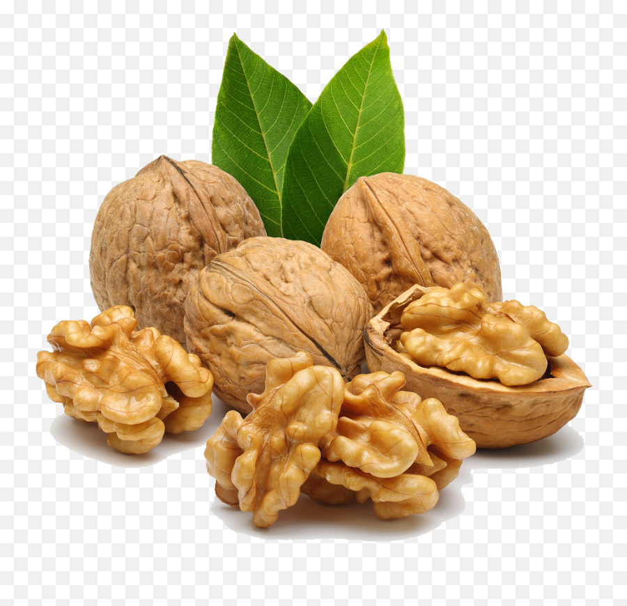 Download Walnut Png Image For Free