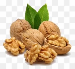 Download Walnut Png Image For Free