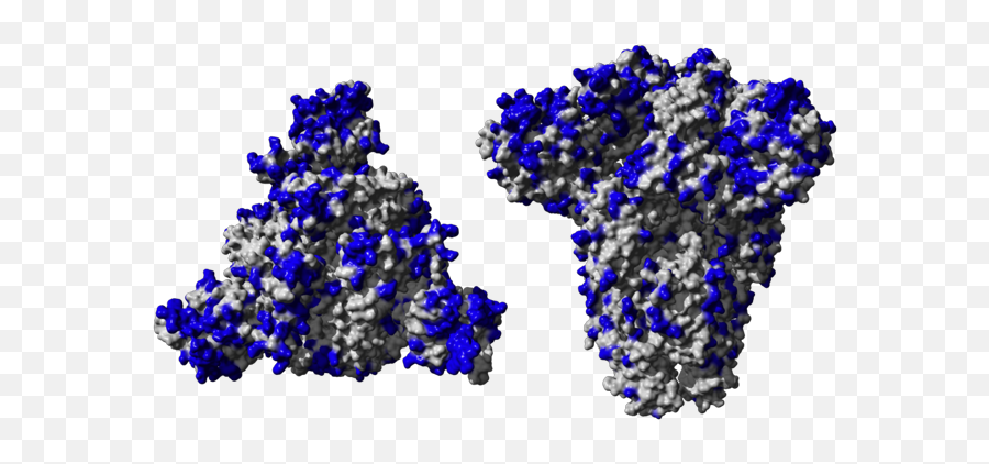 Covid - Corona Virus Transperent Png,Virus Transparent