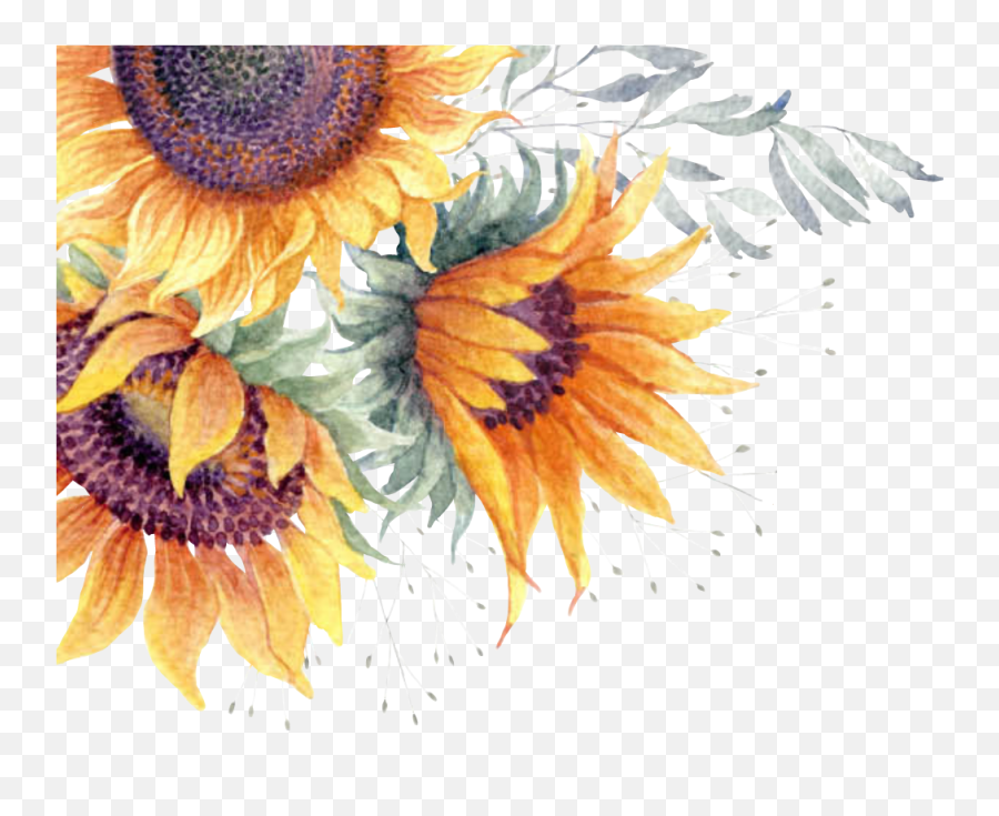 Transparent Sunflower Watercolor Png - Clipart Transparent Background Sunflower,Sunflower Transparent Background
