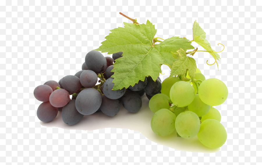 Download Grape Png File - Transparent Background Grapes Transparent,Grape Png