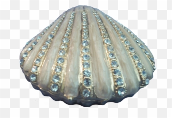 Best Seashell Clipart Png Transparent - Blue Background