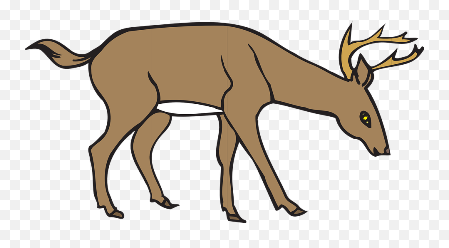 Download Deer Clipart Free - Deer Eating Grass Clipart Deer Drawing Eating Grass Png,Baby Deer Png