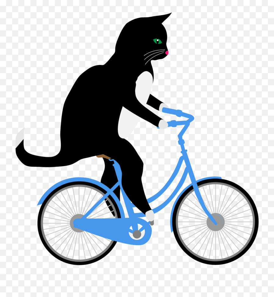 Cat Riding Bicycle Free Stock Photo - Cat On A Bike Png,Bicycle Transparent