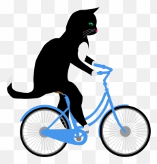 Cat Riding Bicycle Free Stock Photo - Cat On A Bike Png,Bicycle Transparent