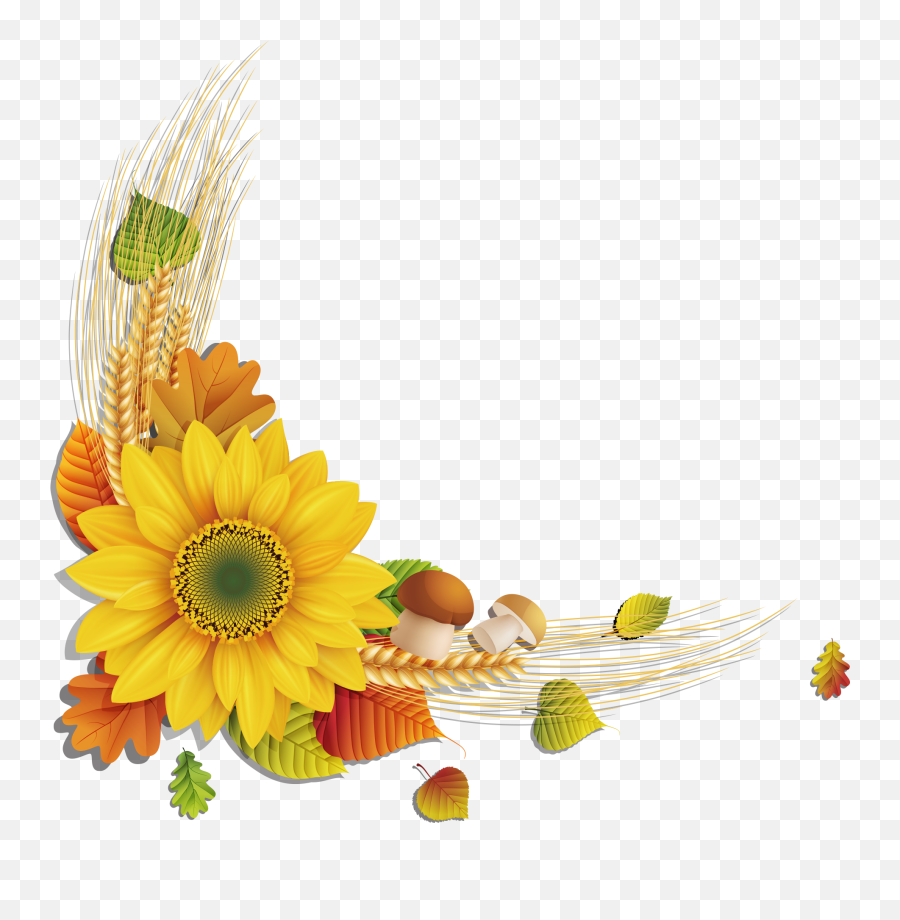 Sunflowers Png Image Free Download - Vector Sunflower Png,Sunflowers Png