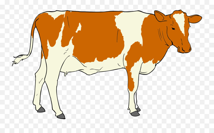 Cow Clipart Png 4 Image - Animals And Their Homes,Cattle Png