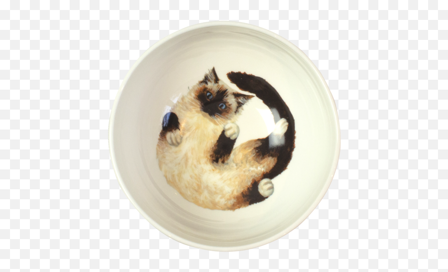 Chloe - Playful Ragdoll Cat Cereal Bowl U2013 Catnap Design London Png,Cereal Bowl Png