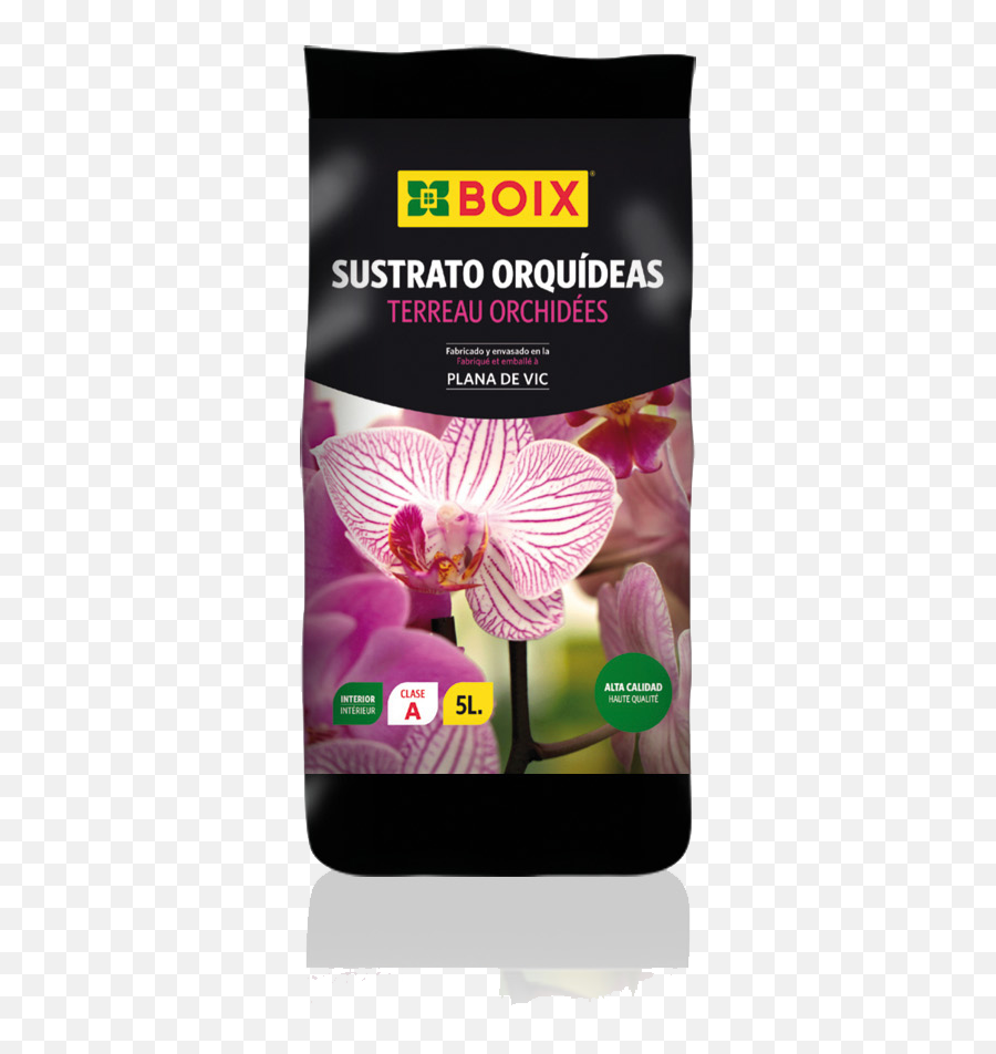 Download Hd Sustrato Orquídeas - Orchids Transparent Png Orchids,Orchids Png