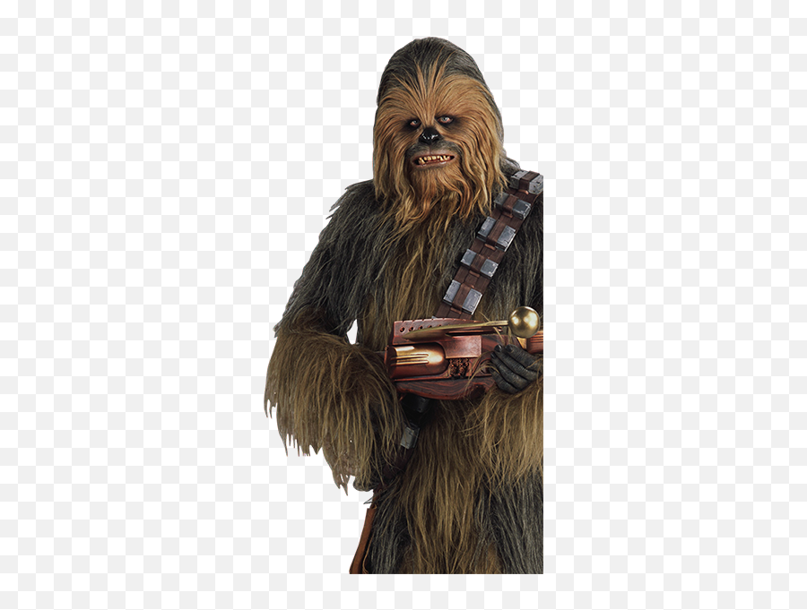 About The Ccmg Awards - Chewbacca Han Solo Png Full Size Star Wars Choubaka,Chewbacca Transparent