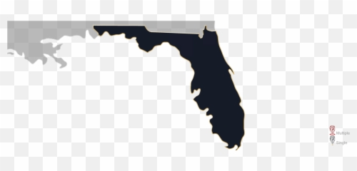 Florida Jewelry Appraisers Gemologists U0026 Labs - Firearms png