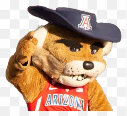 Wilbur - 2png Ua Security Soft,Wildcat Png