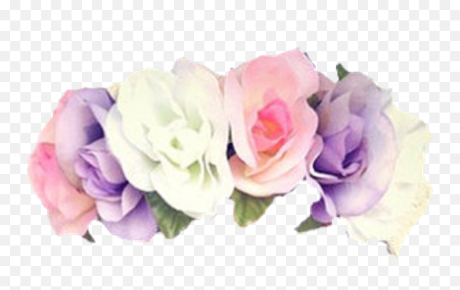 Download Flowers Flower Floral Crowns Crown Roses Rose - Pastel Flower Crown Transparent Png,Flower Crown Png Transparent