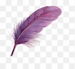 Feather Icon - Purple Png