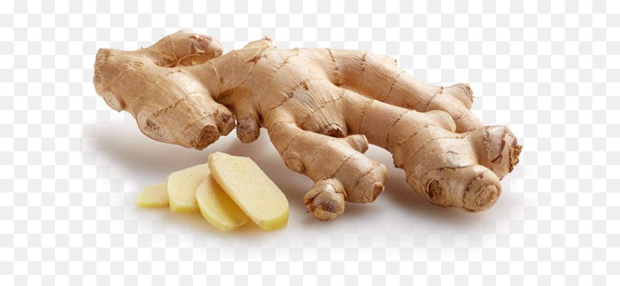 Ginger - Ginger Png,Ginger Root Icon