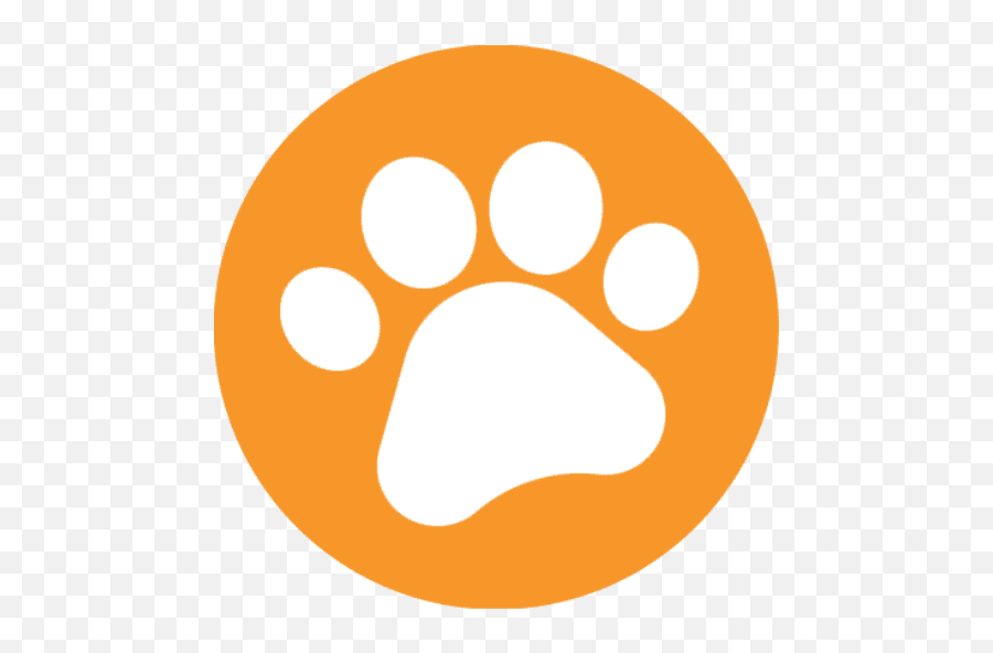 Ladybug Dog Tag - Paw Print Dog Icon Png,Dogtag Icon