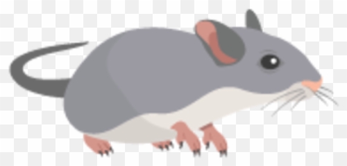 Voles Rat To Apk 30 - Download latest version Rodents Vector png